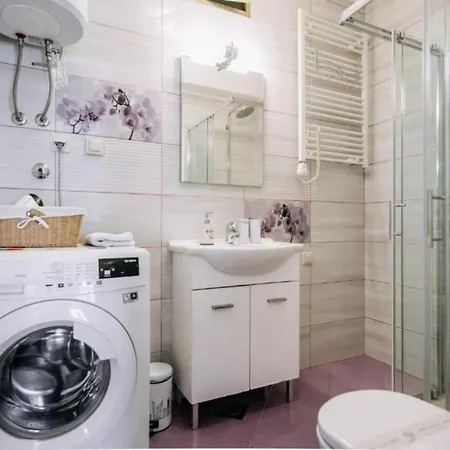 Apartment One Bedroom With Terrace